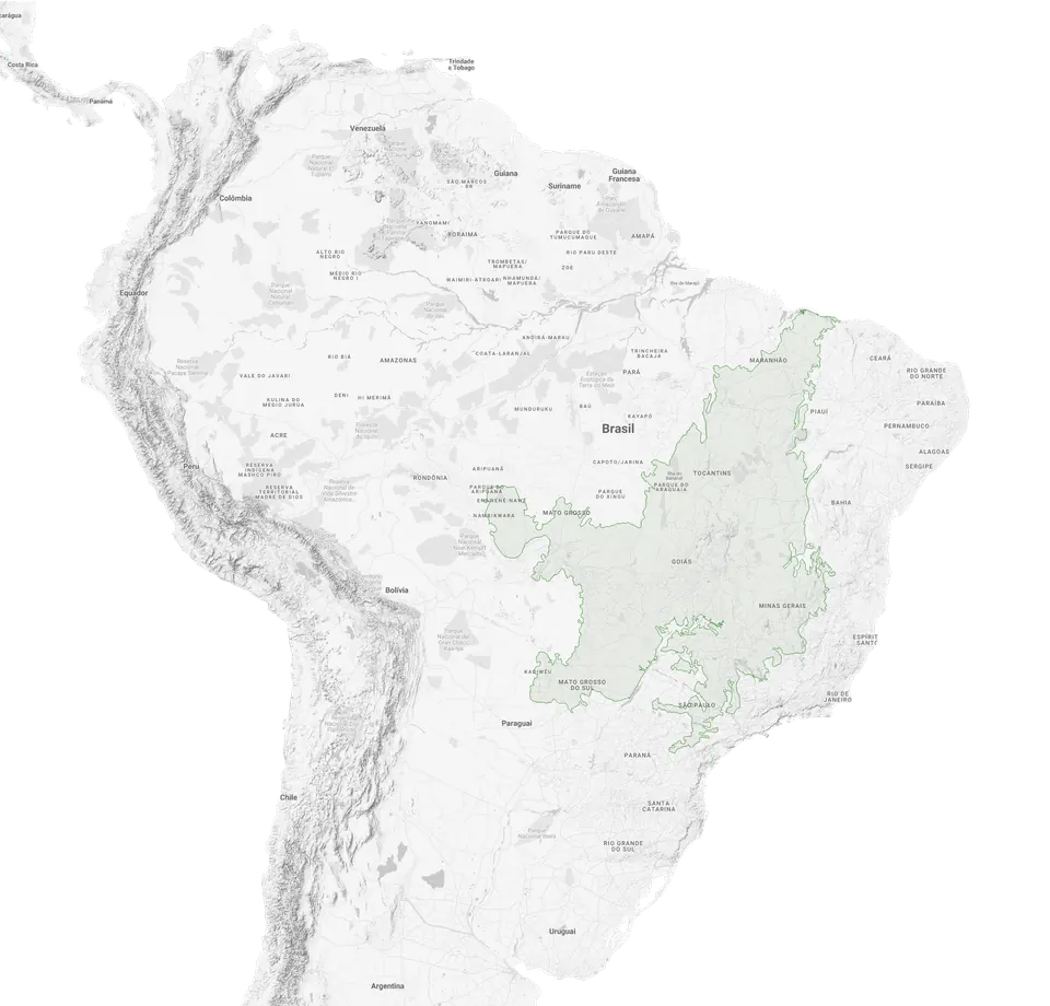 Mapa da América do Sul com o Bioma Cerrado destacado em verde, no centro do Brasil